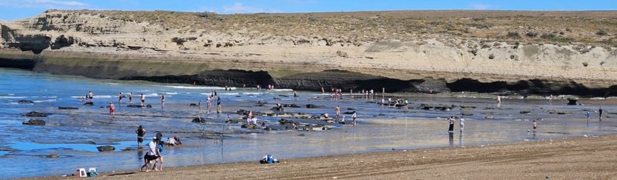 3. Playa de Monte León en verano