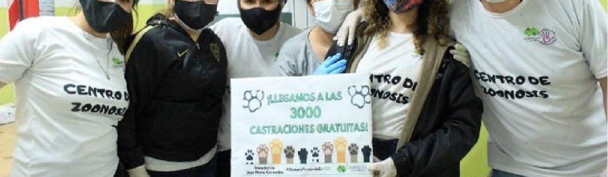3000 castracionae