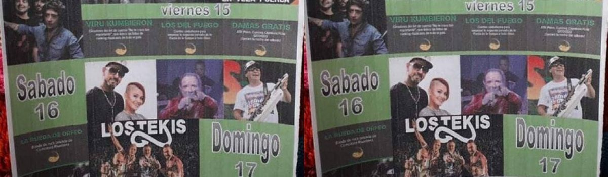 3ra fiesta de la estepa artistas placa