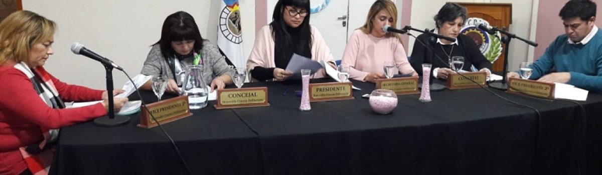 5 concejales 2019