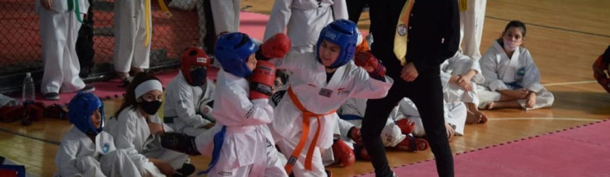 Amin Hamer Karate 1