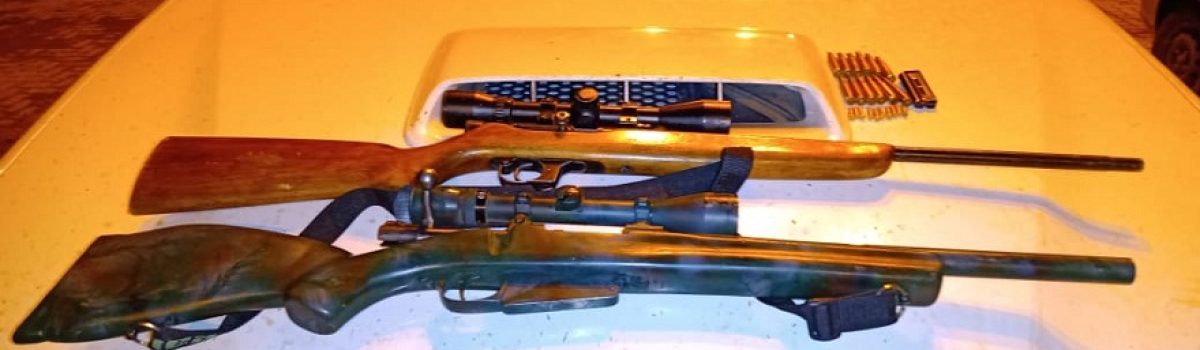 Armas Geor rural Perito