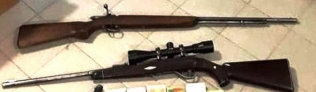 Armas dinero rifles perales