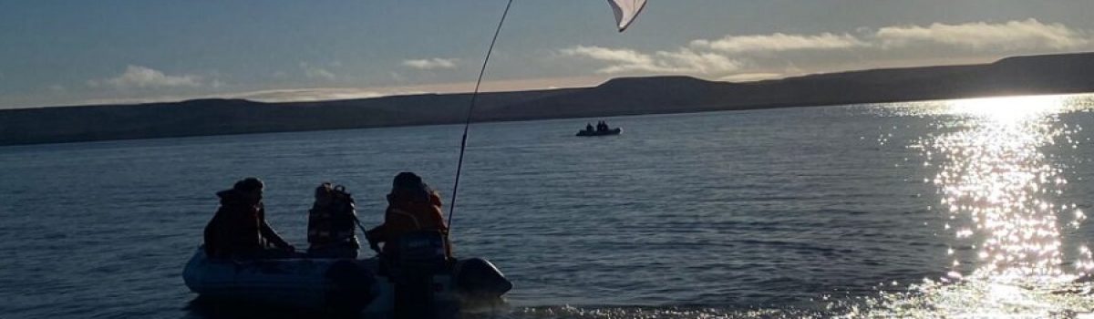 Asociación de Kayak, I Yenu Jono en acción