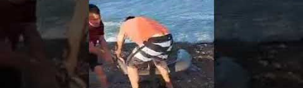 Así-sacaron-al-Tiburón-pescado-en-cercanías-de-Caleta-Olivia-Santa-Cruz