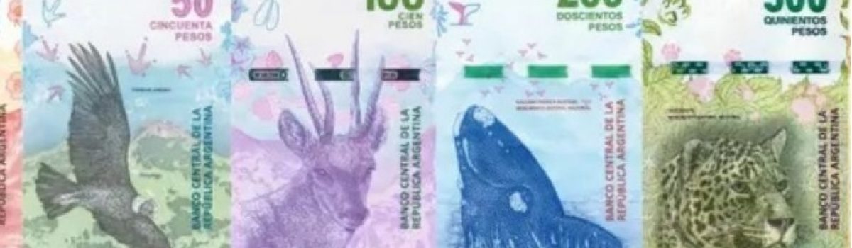 Billetes con animales