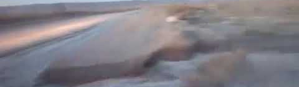Brota-agua-caliente-de-un-acueducto-cercano-a-la-ciudad.-Las-Heras-Santa-Cruz