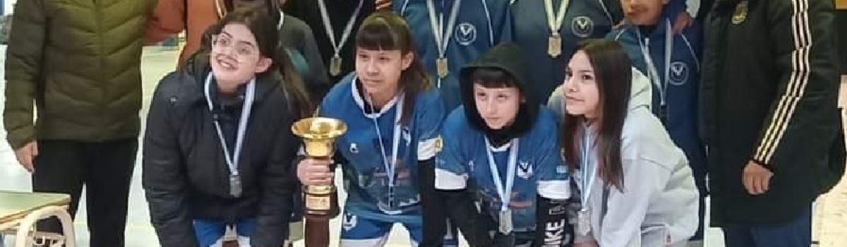 CLub depo 7 evitas 2023
