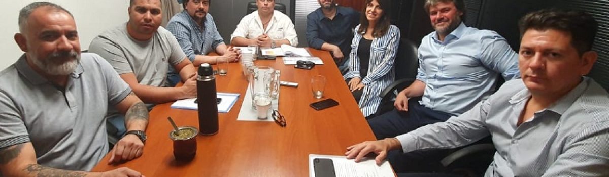 Candidatos SER elecciones 2019