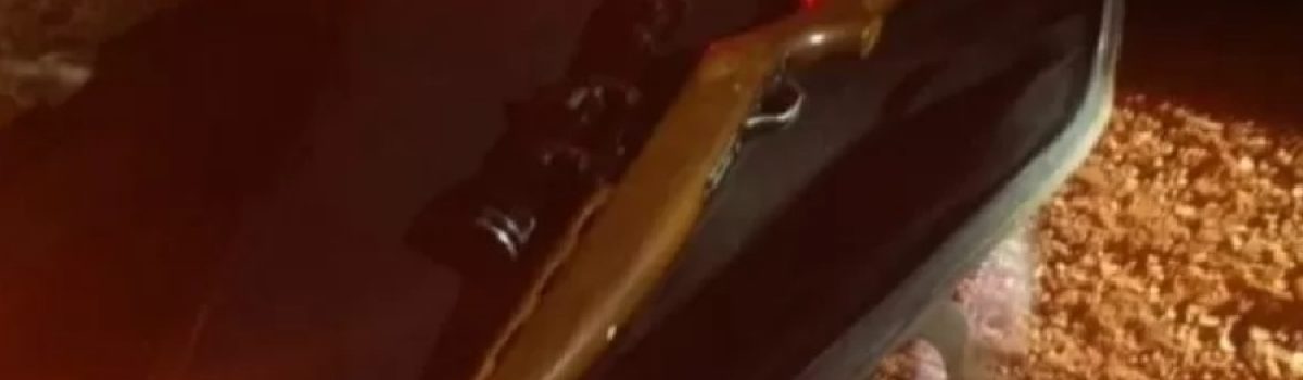 Carabina rifle
