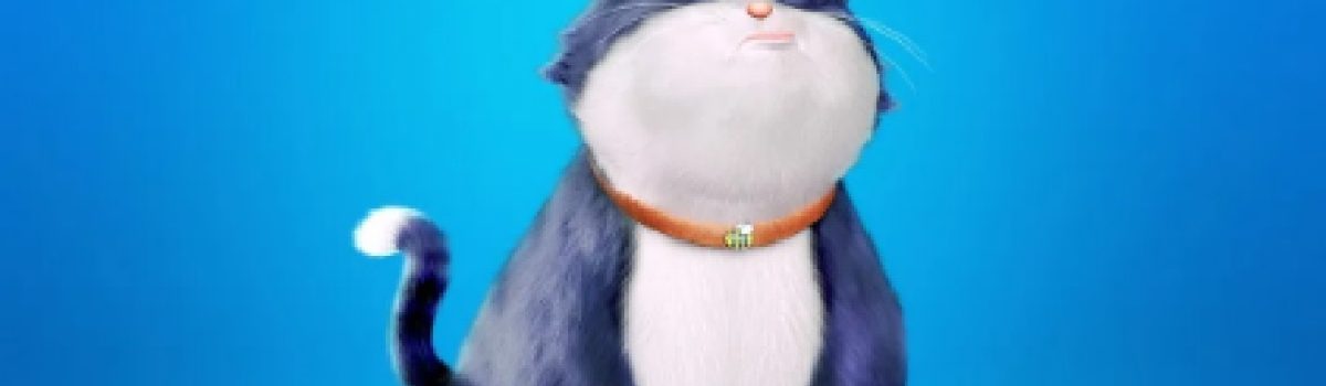 Cine un gato co suerte