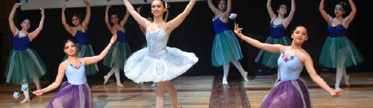Danza Clásica Avant