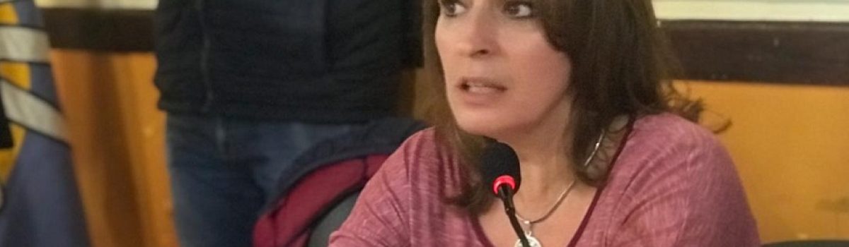 Diputada RICCI
