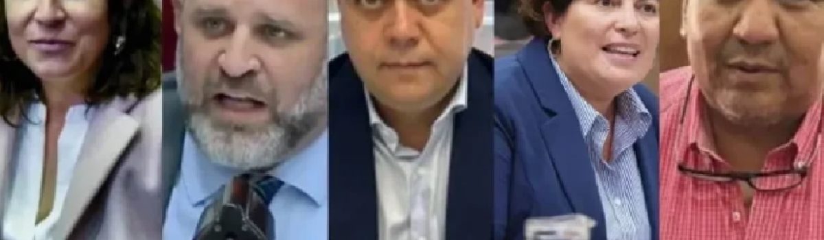 Diputados Chubutenses 2025
