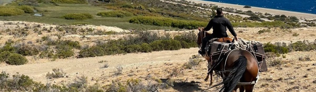 Explorando la Patagonia a caballo una travesía inolvida
