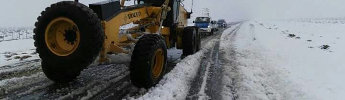 FB_IMG_1491621862582-1