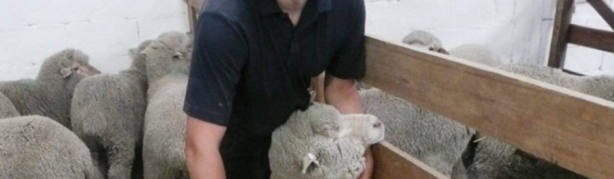Fabio riquelme oveja