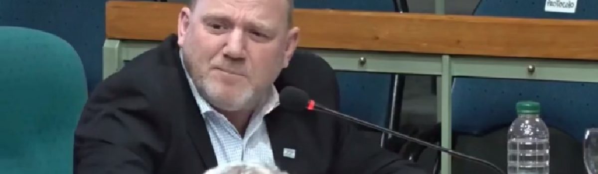 Hernan elorrieta sesion diputados