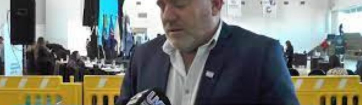Hernana Elorrieta camara diputados