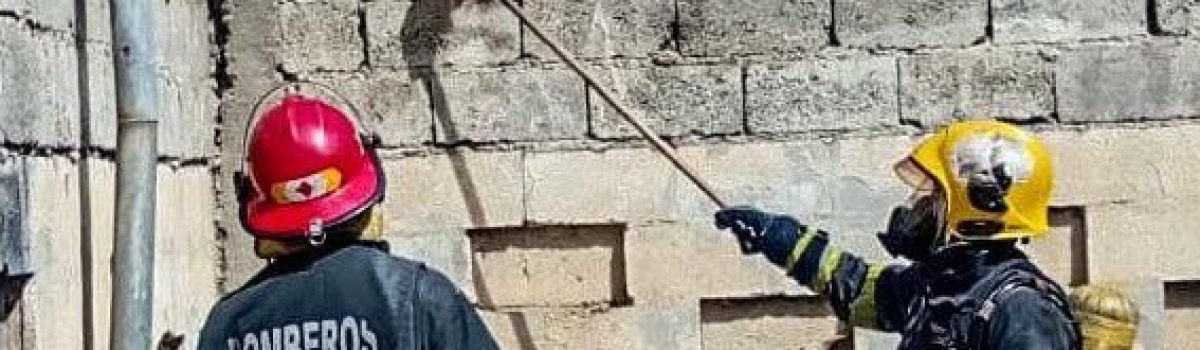 NIDO DE AVISPAS rg 1