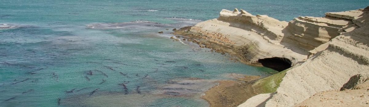 PN Monte León - Foto de Manuel Fernández Arroyo
