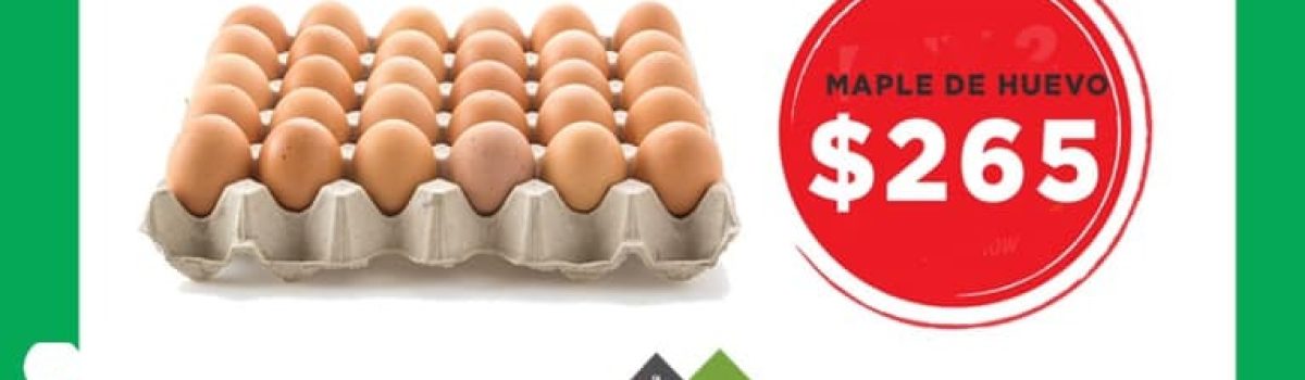 Precios huvos mayo 2020 muni1