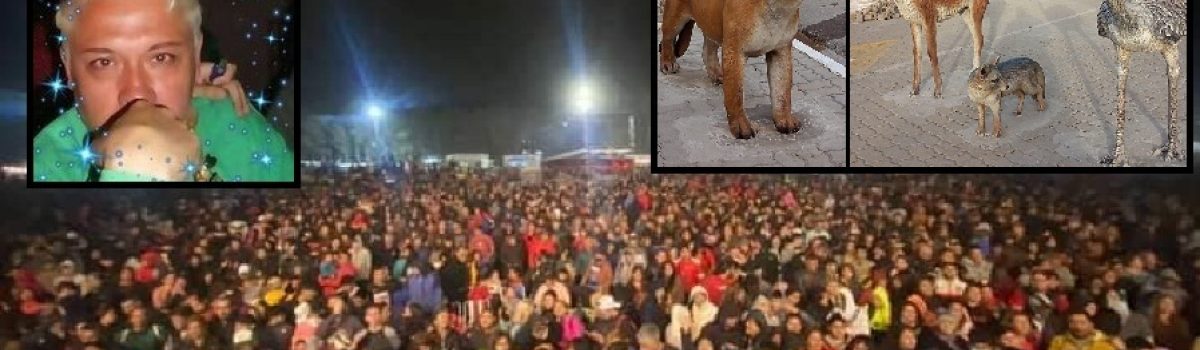 Raulleuquen estepa 2022