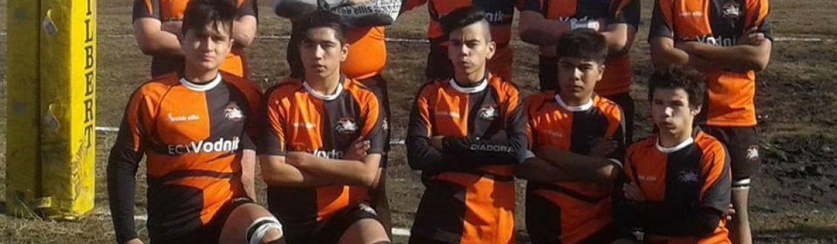 Rugby m16