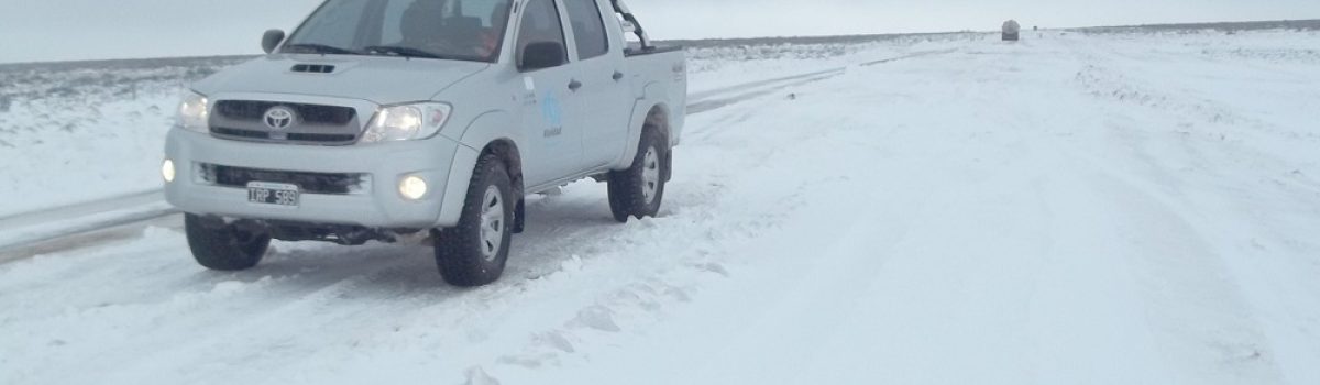 Ruta nevada
