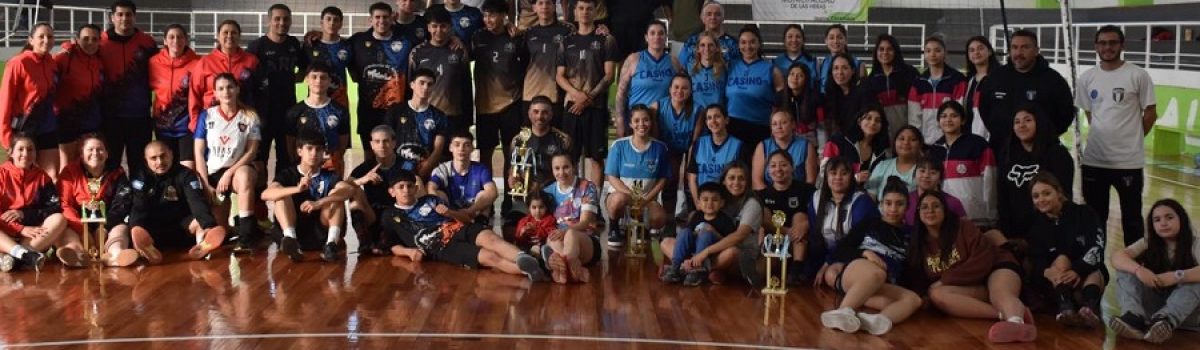 Torneo de Vóley “Copa de Oro y Plata 024