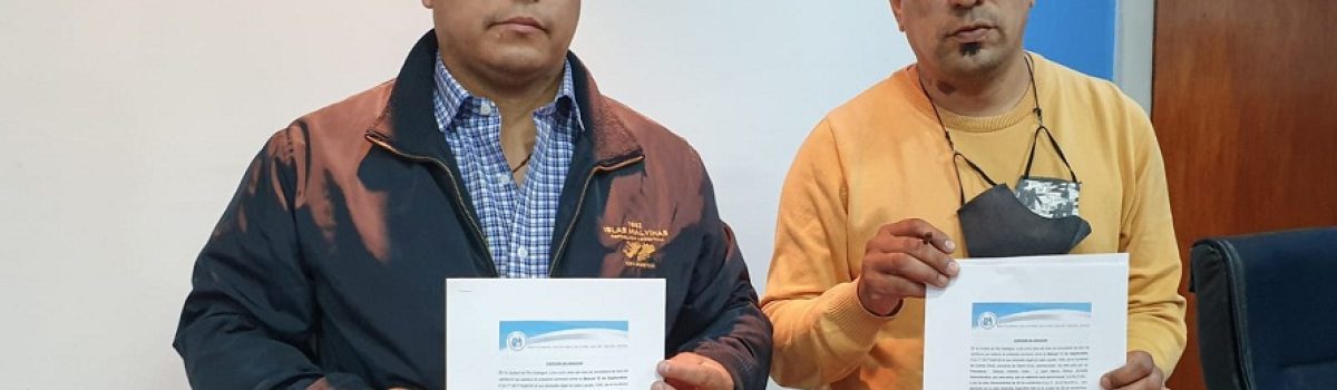 Vidal español
