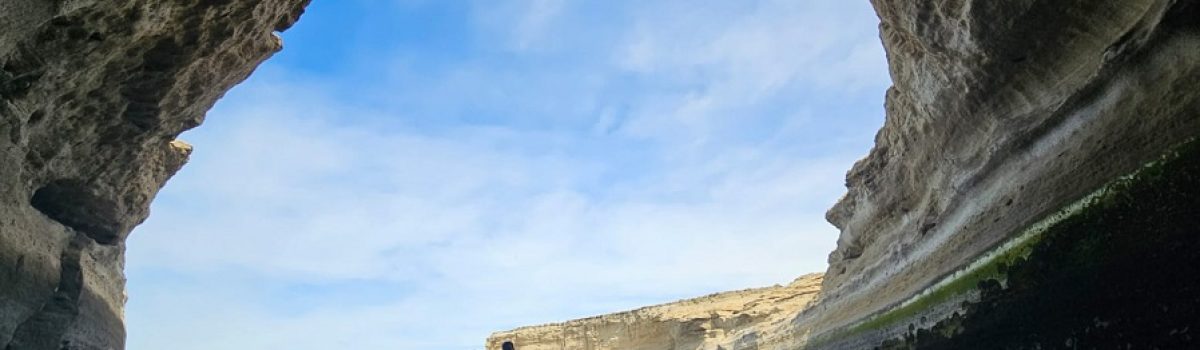 Visitantes en PN Monte León Visitantes en PN Monte León