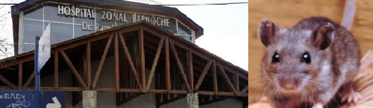 antavirus bariloche portada