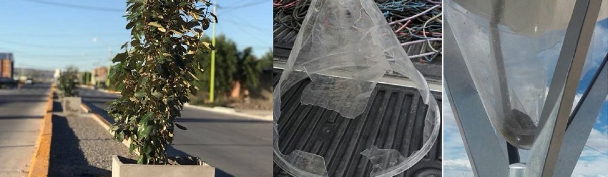 arbustos y farolas rotas