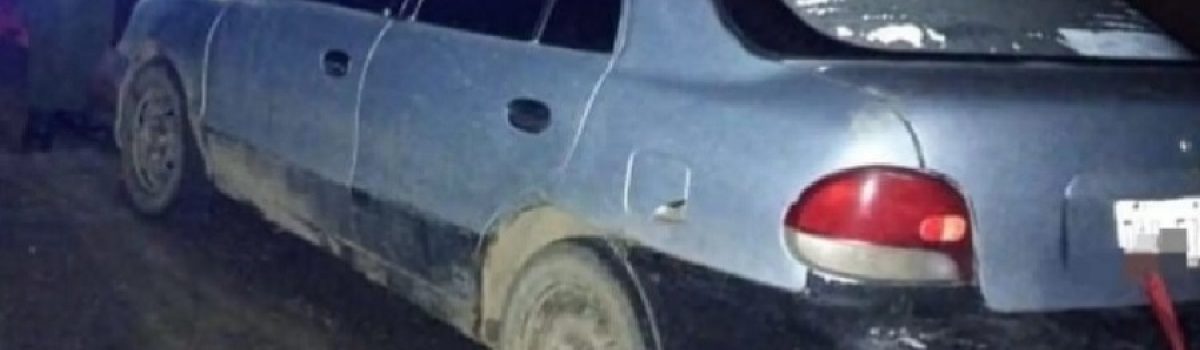 auto robo ganado RTurbio