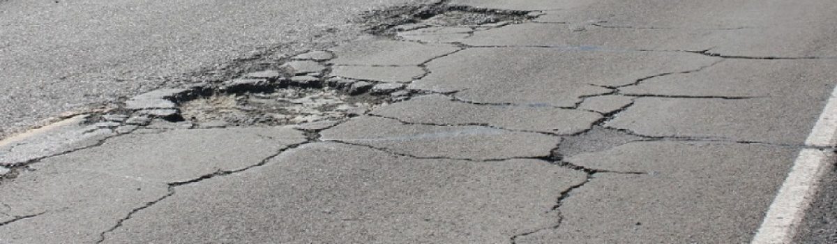 bache ruta