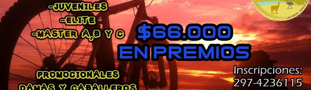 baner-mtb-estepa-2020
