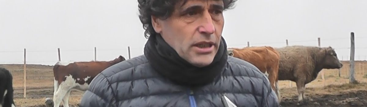 berazaluce