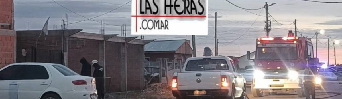 bo,beros x nicho americ