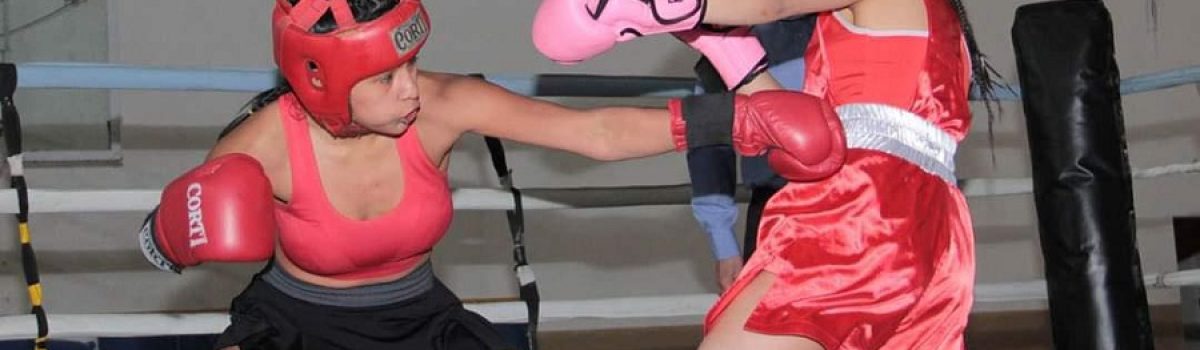 box femeni gregores024