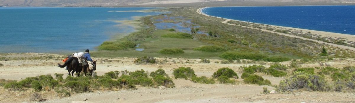 cabalgata en región del Zeballos llegando a Lago Posadas - foto de Mablo parque patagonia
