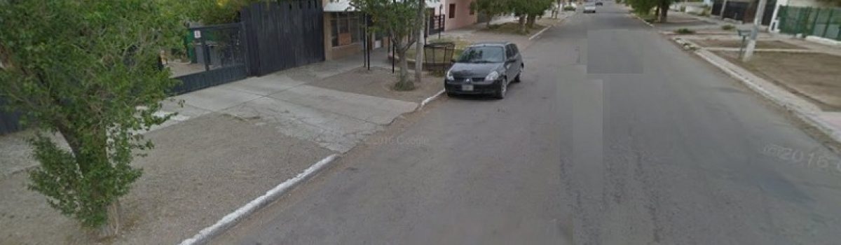 calle ameghino pelu
