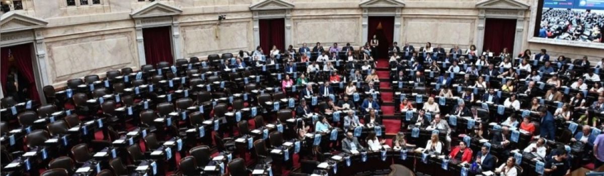camara de diputados nacional 2024