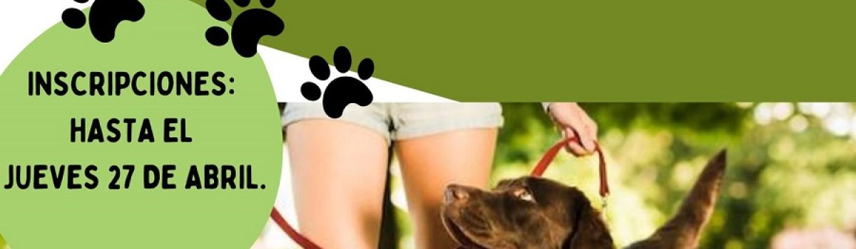 caminata paseo canino 2023