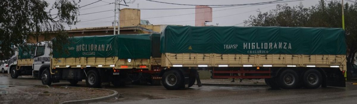 camines con ayuda temporal