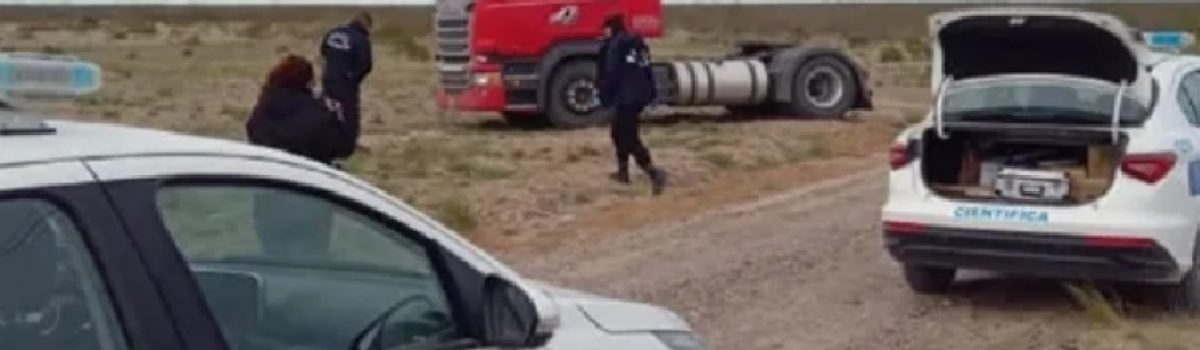 camion auto robo langostino