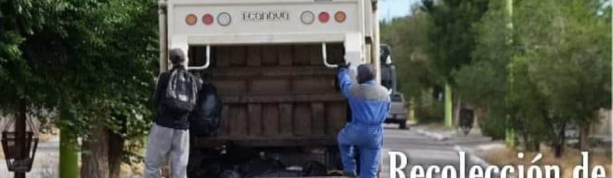 camion de basura 1
