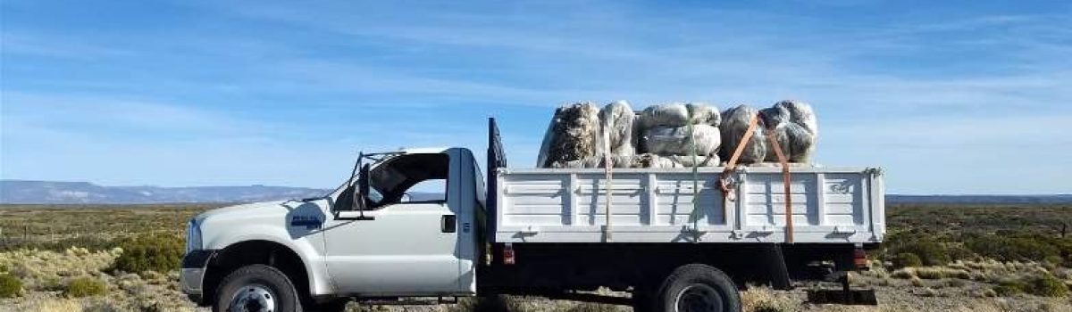camion lana quilogran