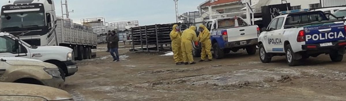 camion los perales ingreso ilegal policias