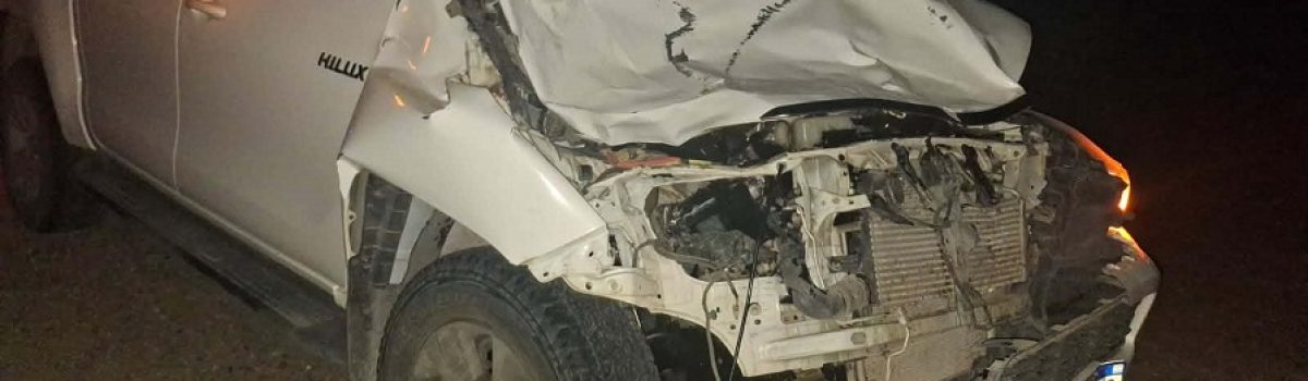 camioneta choco un caballo 2026